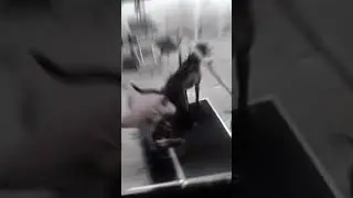 So kann das mal laufen