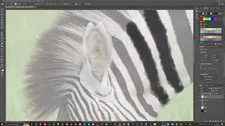 Zebra Watercolour painting in Photoshop