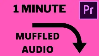 Premiere Pro  How to Make Audio Sound Distant and Muffled 2021