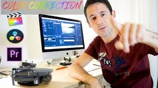 INSERISCI I LUTS PER TRASFORMARE I TUOI VIDEO | Tutorial Premiere Pro, FCPX e DaVinci Resolve