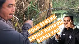 FULL STRIKE SEMUA RUMPON BERGETAR||SPOT RUMPON TUALANG BALI