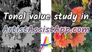 🖌️ Do a Tonal Value Study Using ArtistAssistApp