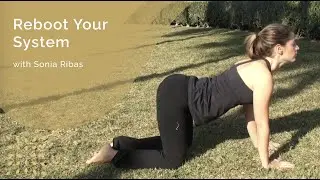 Reboot Your System with Sonia Ribas
