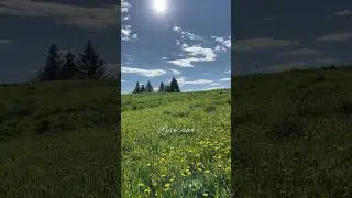 Где живёт твоя душа, моя Русь?