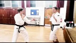 Shita uke geri. Shorinji kempo