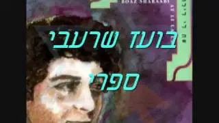 בועז שרעבי - ספרי