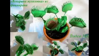 Видео МАСТЕР КЛАСС Венерина мухоловка из фоамирана