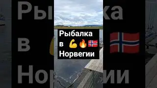 Ловля рыбы в Норвегии. рыбалка на море.