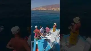 Все подробности можно узнать у вашего отельного гида #египет #экскурсия