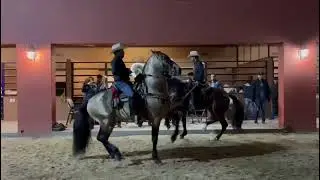 CABALLOS BAILADORES | CULIACAN SINALOA | cabalgata 2022