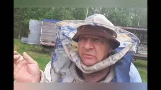 Результат прививки на проволоку.