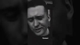 8 апреля 2024 г.
