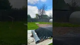 Град в мае #cute #dog #мем #приколы #рек #смех #смешно #собака