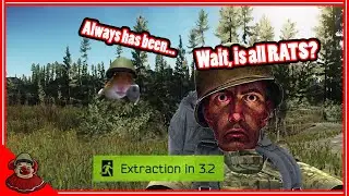 Wait... TARKOV is about RATS?