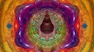 Shaminsense & The Sorceress