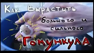 Как вырастить большого и сильного ГОМУНКУЛА (Homunculus)