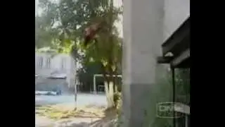 Паркур   Основные акробатические трюки flv