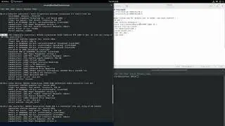 QEMU #7: KVM RTX 2080Ti GPU passthrough