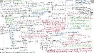python: Exceptions