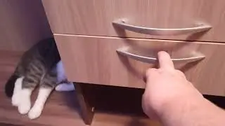 Прихожая Лео.