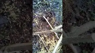 Проверка петель на фазана.