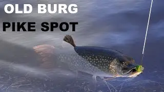 Pike Szczupak Russian Fishing 4 Old Burg | rf4 spot 328