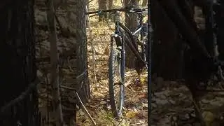Ф.С.О