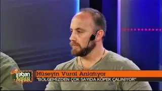 YABAN KAFASI 30 MART 2017 PART 4