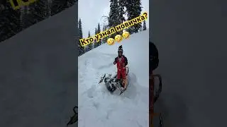 Знаете этого новичка? 