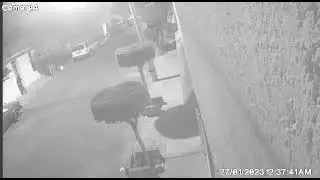rata entra a hogar