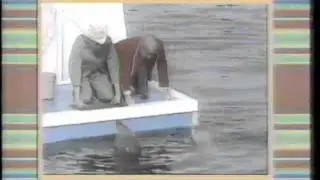 Captain Kangaroo Openings (1987)