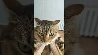 Ты моя целая вселенная 🌐 😇