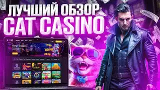 Какие виды игр доступны в казино Cat 2024 года лучшие автоматы казино Кэт 🍋  папич грабит казино