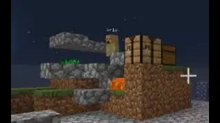 skyblock bruh moment