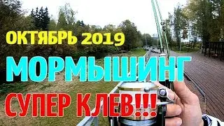 МОРМЫШИНГ РУЛИТ ОСЕННЯЯ РЫБАЛКА 2019!