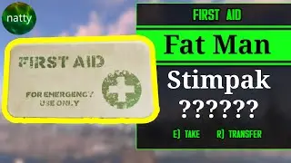 Fallout 4, but ALL Loot is Randomized