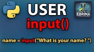 How to use input function in python