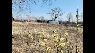 Дачи Соловей ключ, Диомид2.