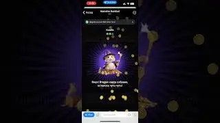 Открываем секретные карточки  Hamster Kombat на 10 июня