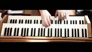Die Moldau - orgel - oude kerk Amsterdam - Sweelinq