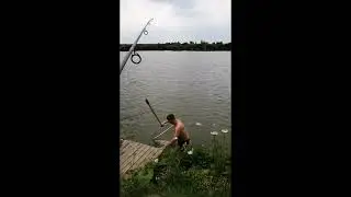 Амур 10 кг. Ловля амура.