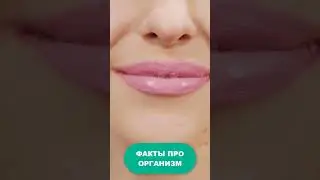 Удивительные факты о нашем теле