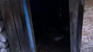 Кот в прямом эфире. Разговор О чепыше.