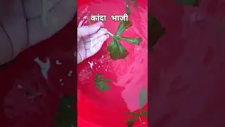 कांदा भाजी छत्तीसगढ़ के भाजी 💚 #shorts #shortsfeed #कांदा #भाजी #cgshorts  #bhaji #leafyvegitables