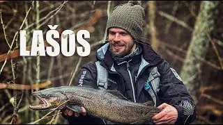 ĶERAM LAŠUS, TAIMIŅUS UZ ĶĪNIEŠU VOBLERIEM