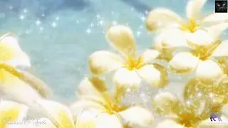 Тебя я люблю..... (At Rest - Romance)