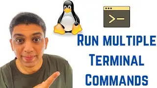 Linux Command Line Tutorial For Beginners - How to Run multiple Terminal Commands