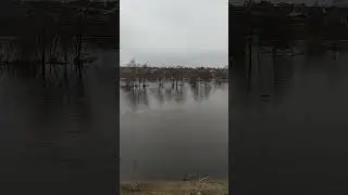 Опять большой разлив. Много воды