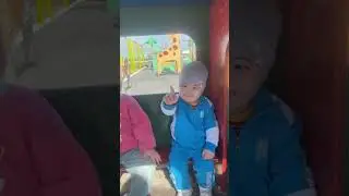 Жанакорган-Шиели