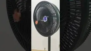 看转速，汤姆快追上杰瑞了！